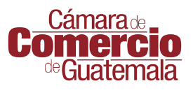 camara_guatemala_Mesa de trabajo 1